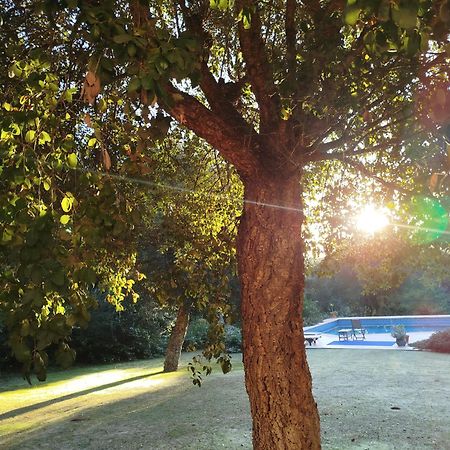 Sotogrande - Estancia En Plena Naturaleza - Abril المظهر الخارجي الصورة
