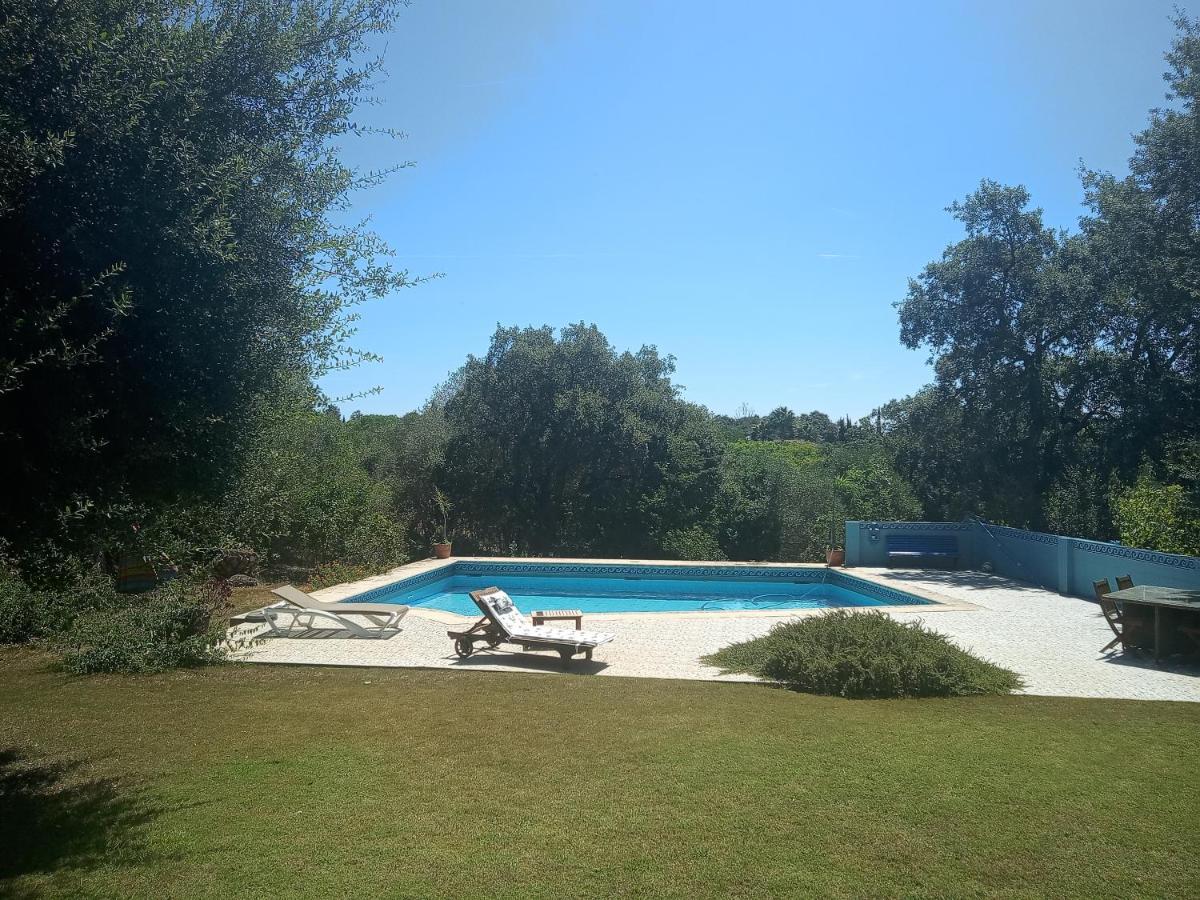 Sotogrande - Estancia En Plena Naturaleza - Abril المظهر الخارجي الصورة