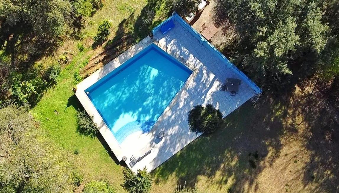 Sotogrande - Estancia En Plena Naturaleza - Abril المظهر الخارجي الصورة
