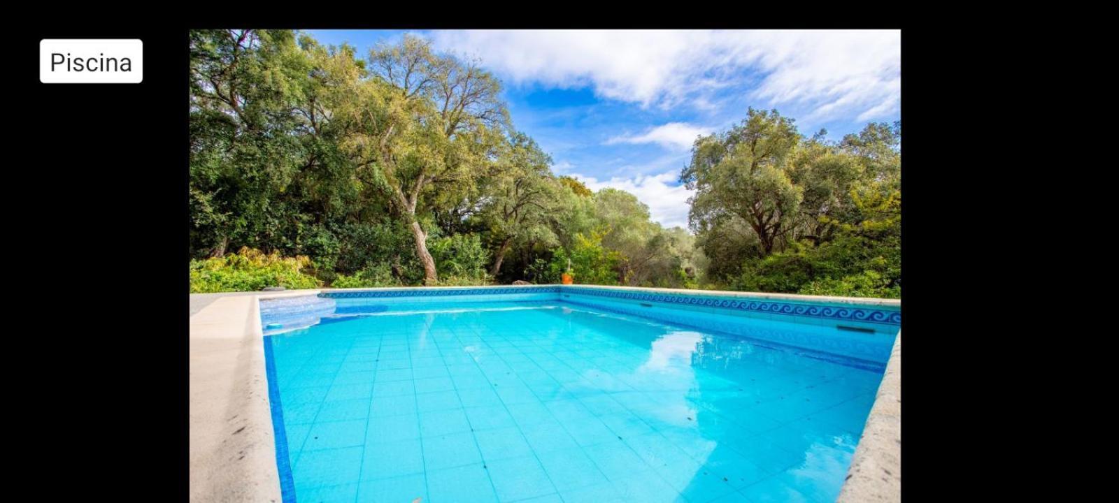 Sotogrande - Estancia En Plena Naturaleza - Abril المظهر الخارجي الصورة
