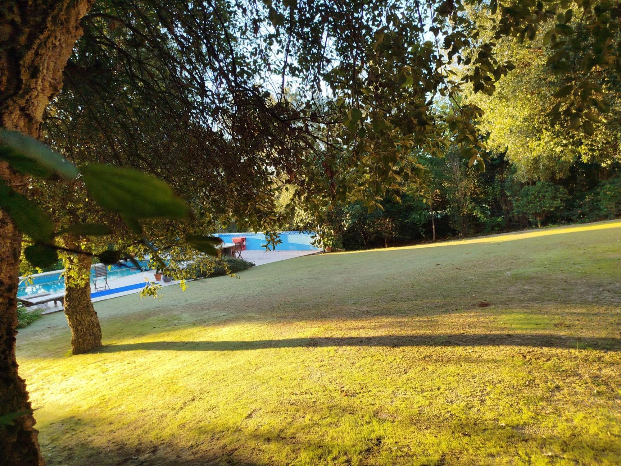 Sotogrande - Estancia En Plena Naturaleza - Abril المظهر الخارجي الصورة